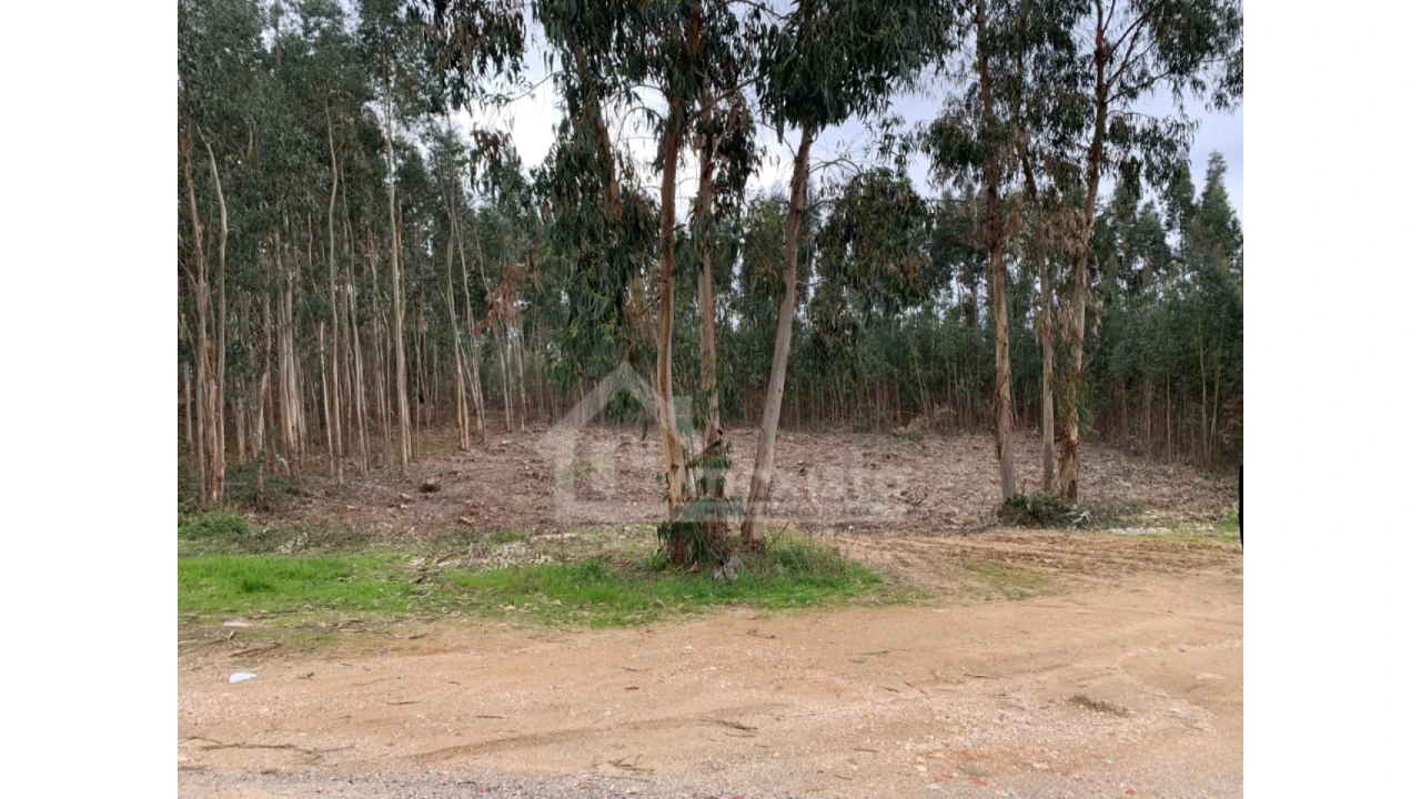 Terreno para Venda em Figueiró dos Vinhos e Bairradas Foto 5