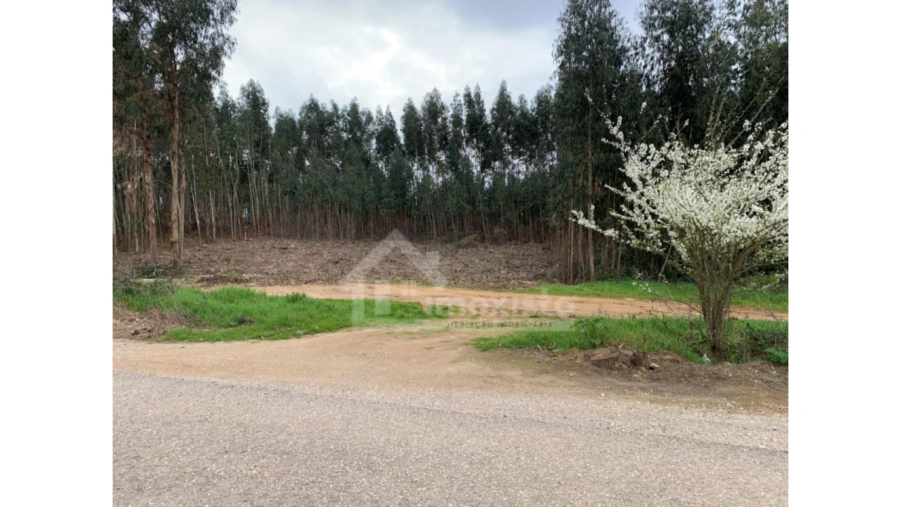 Terreno para Venda em Figueiró dos Vinhos e Bairradas Foto 6