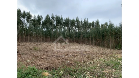 Terreno para Venda em Figueiró dos Vinhos e Bairradas