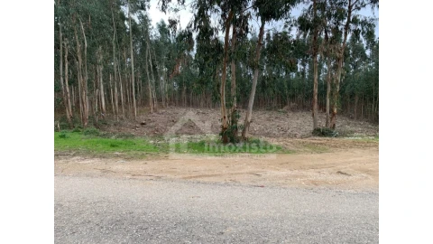 Terreno para Venda em Figueiró dos Vinhos e Bairradas