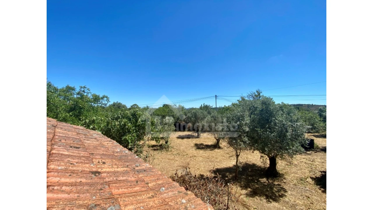 Quinta T2 para Venda em Alvaiázere Foto 8
