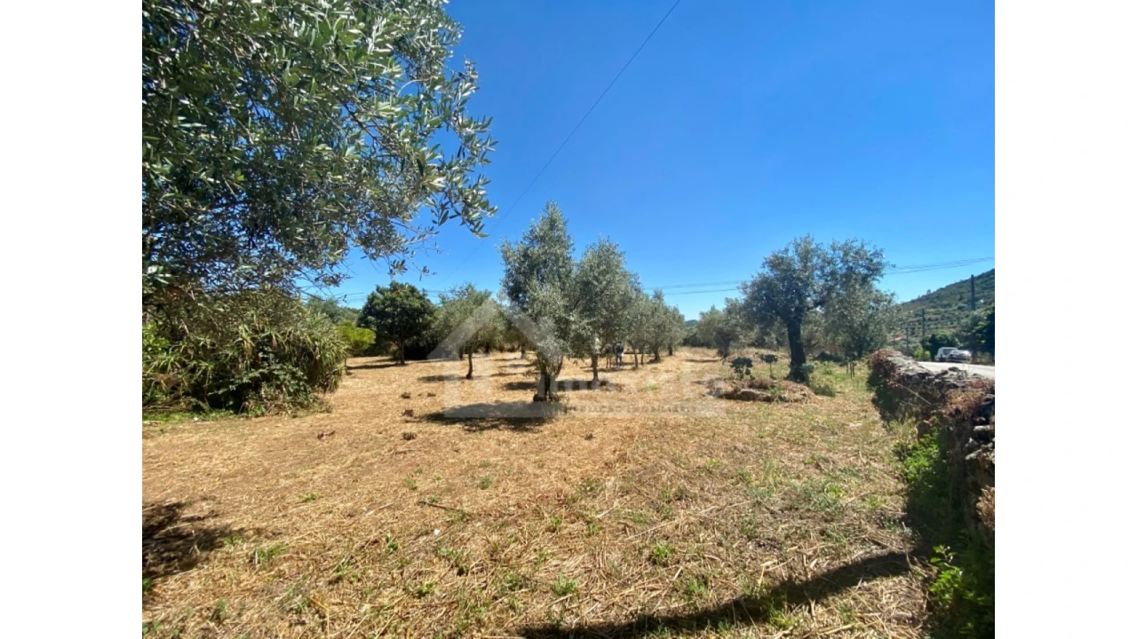 Quinta T2 para Venda em Alvaiázere Foto 23