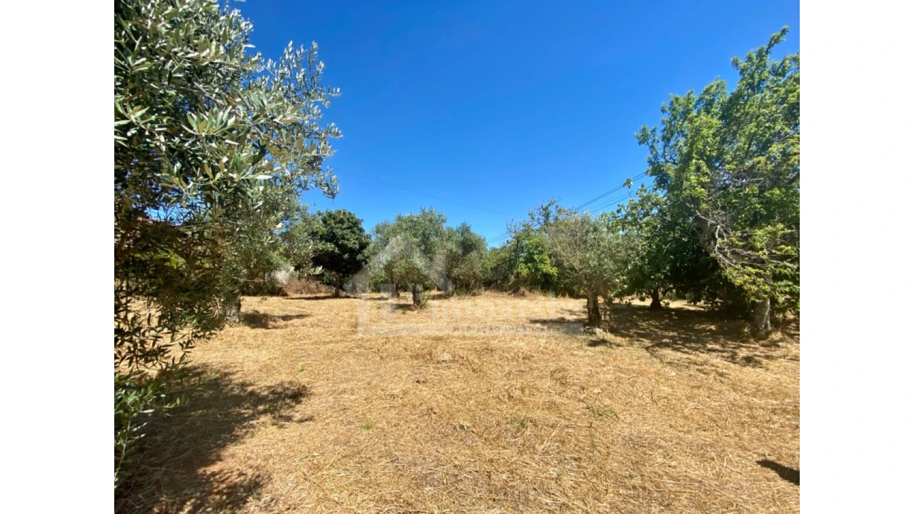 Quinta T2 para Venda em Alvaiázere Foto 24