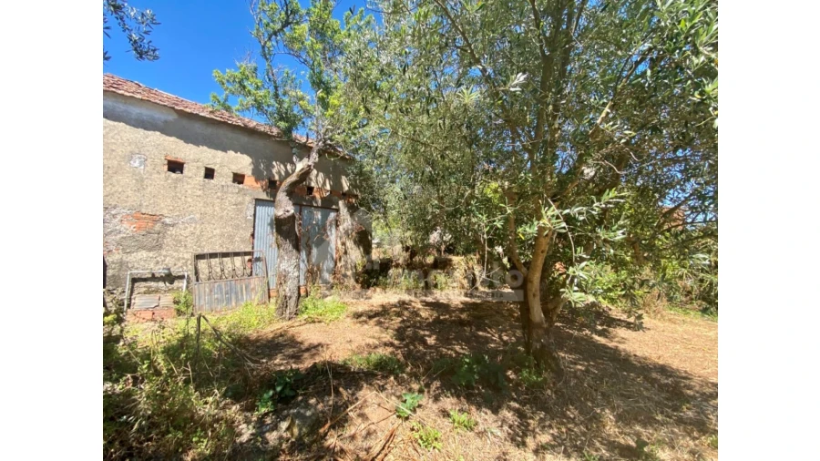 Quinta T2 para Venda em Alvaiázere Foto 22