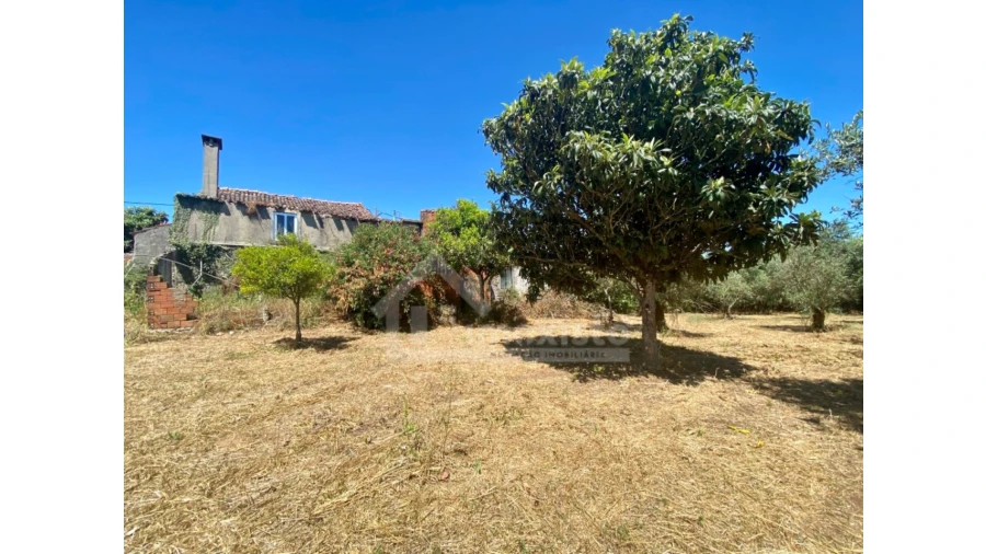 Quinta T2 para Venda em Alvaiázere Foto 26