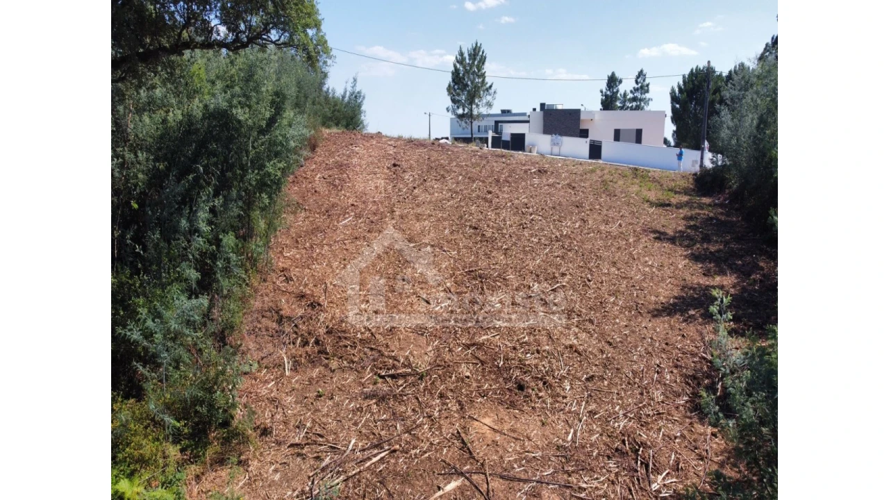 Terreno para Venda em Figueiró dos Vinhos e Bairradas Foto 12