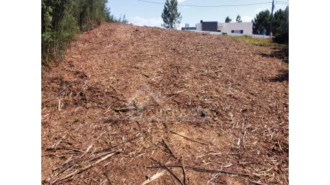 Terreno para Venda em Figueiró dos Vinhos e Bairradas