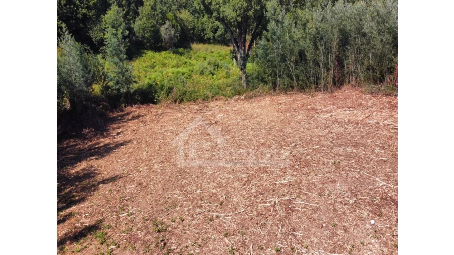 Terreno para Venda em Figueiró dos Vinhos e Bairradas Foto 8