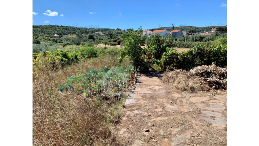 Terreno para Venda em Graça Foto 3