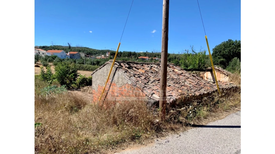 Terreno para Venda em Graça Foto 4