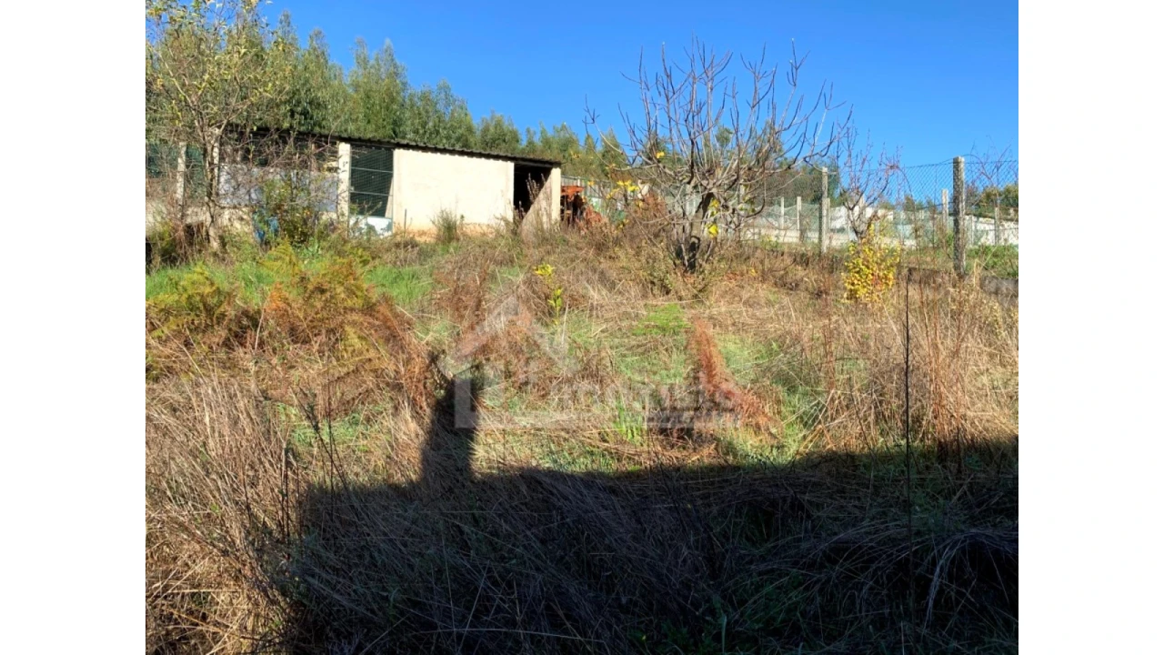 Moradia T3 para Venda em Castanheira de Pêra e Coentral Foto 22