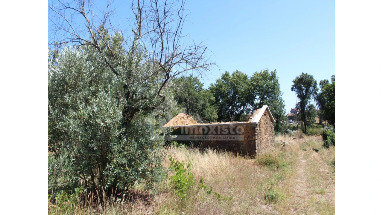 Armazém para Venda em Pedrogão Grande Foto 3