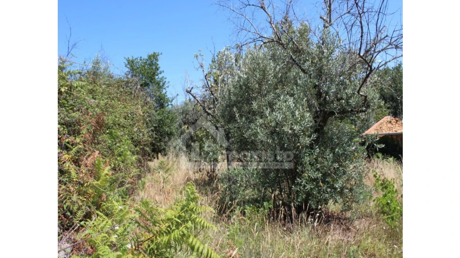Armazém para Venda em Pedrogão Grande Foto 4