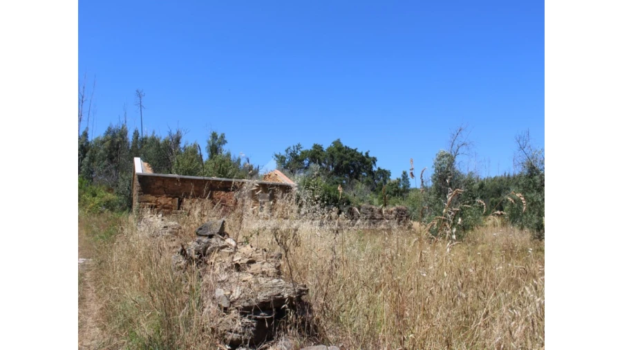 Armazém para Venda em Pedrogão Grande Foto 5