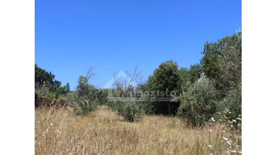 Armazém para Venda em Pedrogão Grande Foto 6