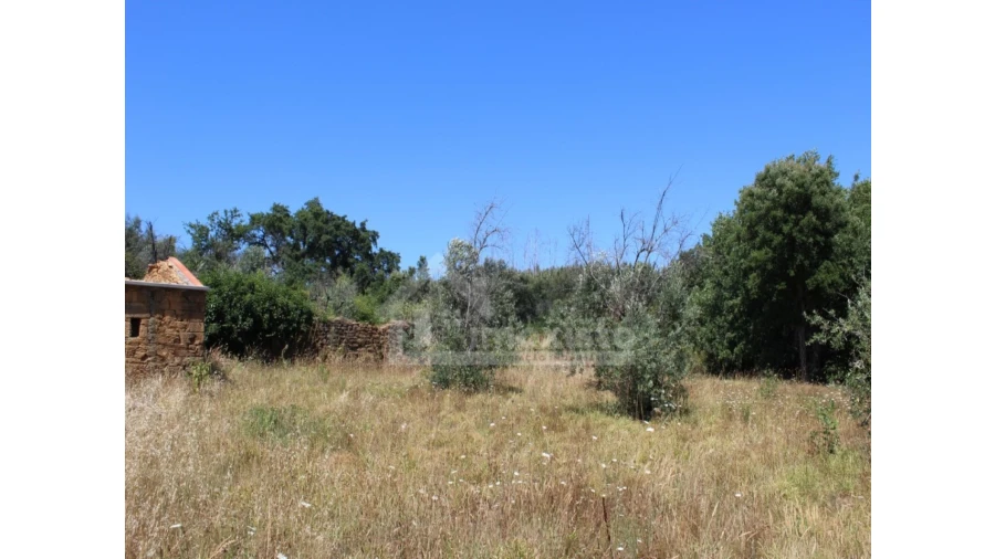 Armazém para Venda em Pedrogão Grande Foto 7