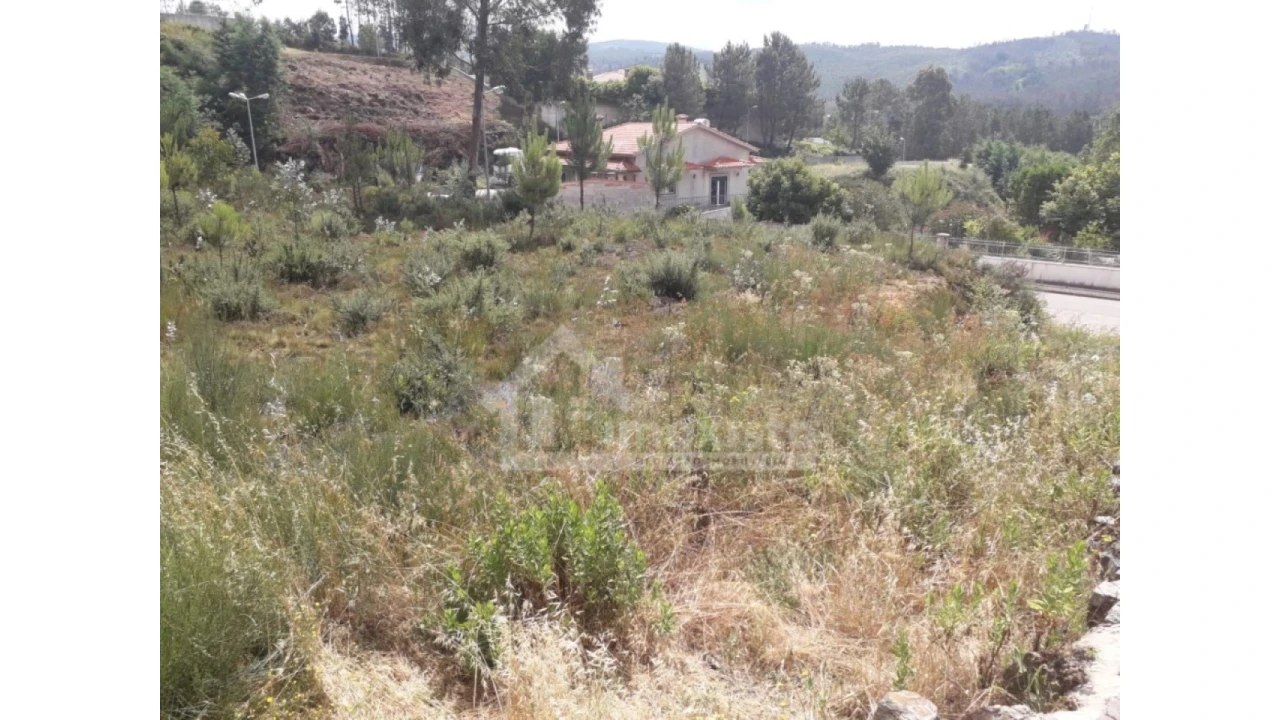Terreno para Venda em Castanheira de Pêra e Coentral Foto 5