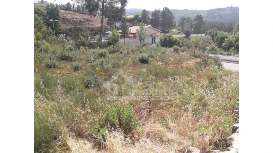 Terreno para Venda em Castanheira de Pêra e Coentral Foto 5