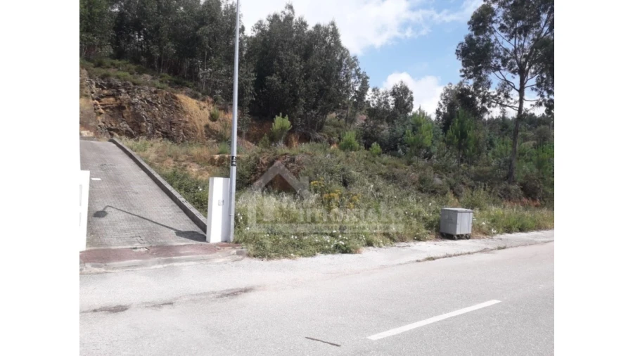 Terreno para Venda em Castanheira de Pêra e Coentral Foto 7