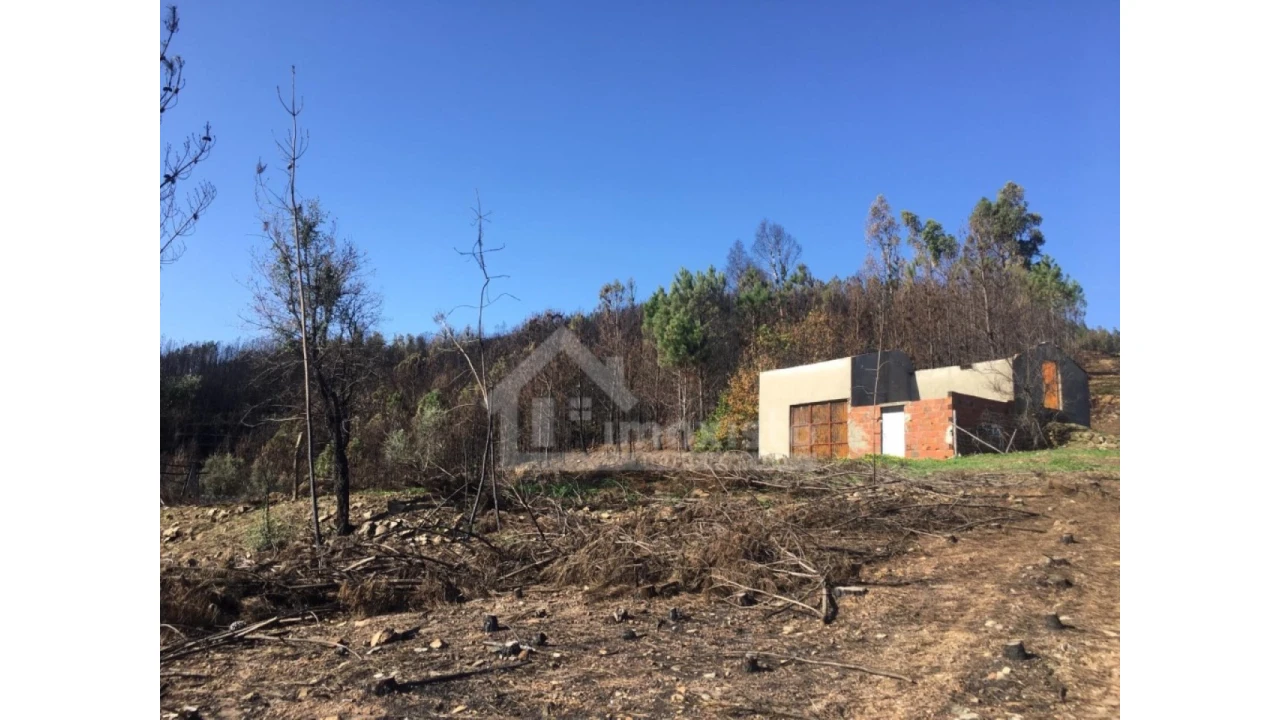 Terreno Agricola ou Rústico para Venda em Sertã Foto 1