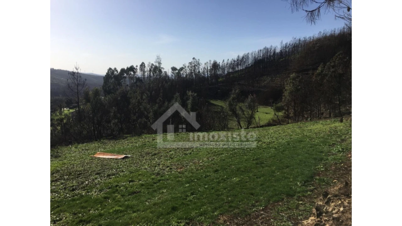 Terreno Agricola ou Rústico para Venda em Sertã Foto 3