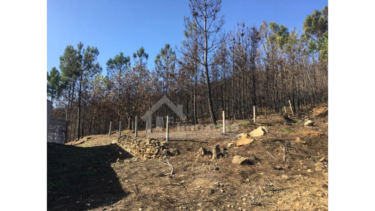 Terreno Agricola ou Rústico para Venda em Sertã Foto 4
