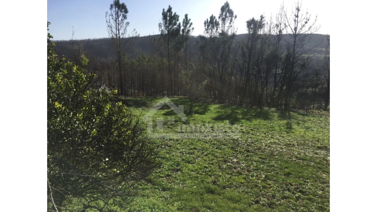 Terreno Agricola ou Rústico para Venda em Sertã Foto 6