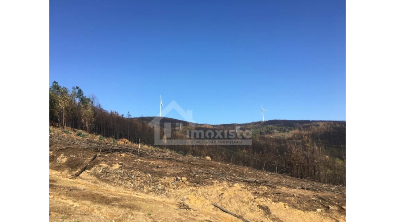 Terreno Agricola ou Rústico para Venda em Sertã Foto 8