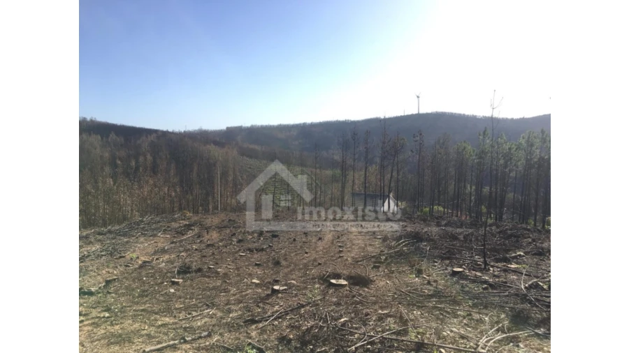 Terreno Agricola ou Rústico para Venda em Sertã Foto 2