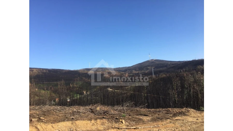 Terreno Agricola ou Rústico para Venda em Sertã Foto 5