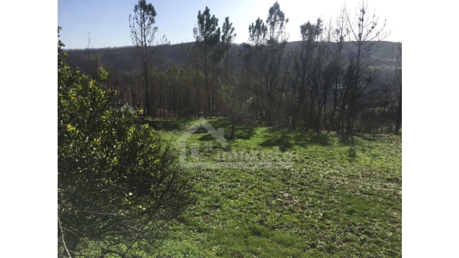 Terreno Agricola ou Rústico para Venda em Sertã Foto 6