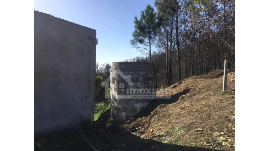 Terreno Agricola ou Rústico para Venda em Sertã Foto 7