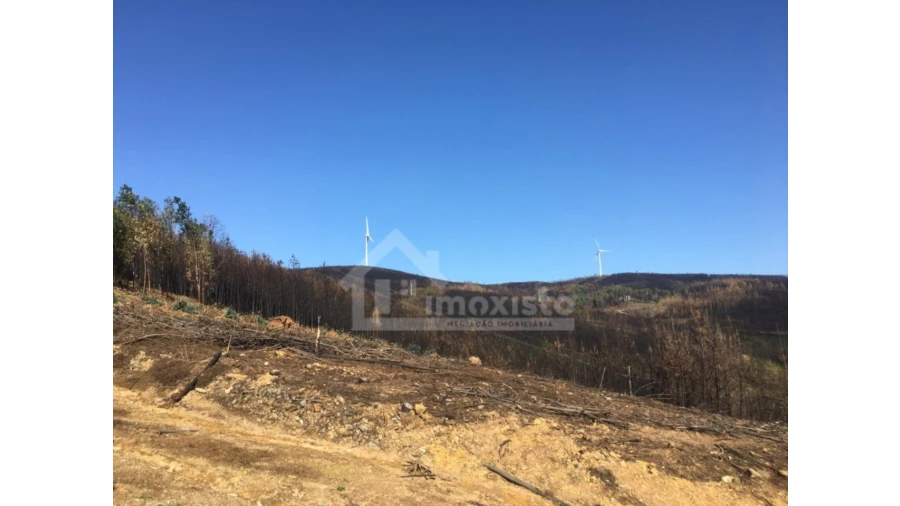 Terreno Agricola ou Rústico para Venda em Sertã Foto 8