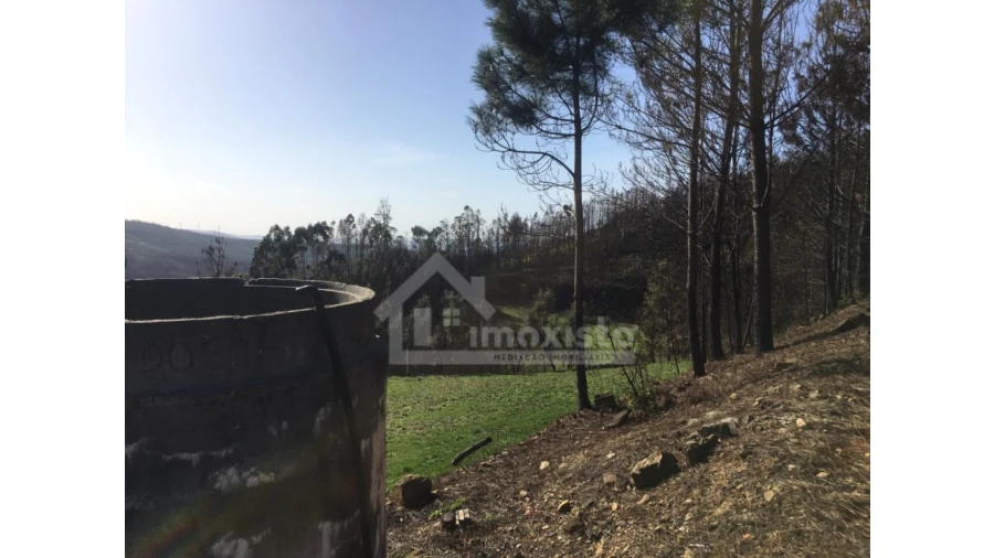 Terreno Agricola ou Rústico para Venda em Sertã Foto 11