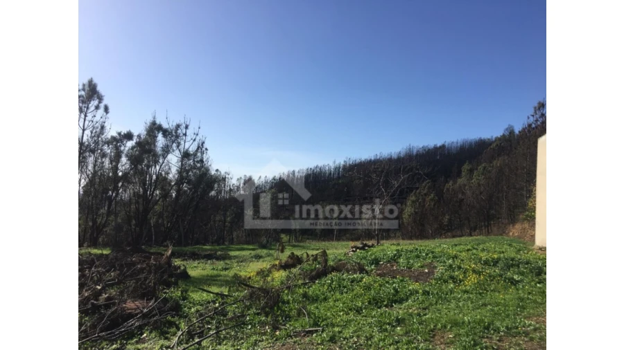 Terreno Agricola ou Rústico para Venda em Sertã Foto 12