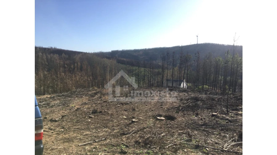 Terreno Agricola ou Rústico para Venda em Sertã Foto 13