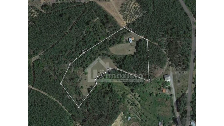 Terreno Agricola ou Rústico para Venda em Sertã Foto 14