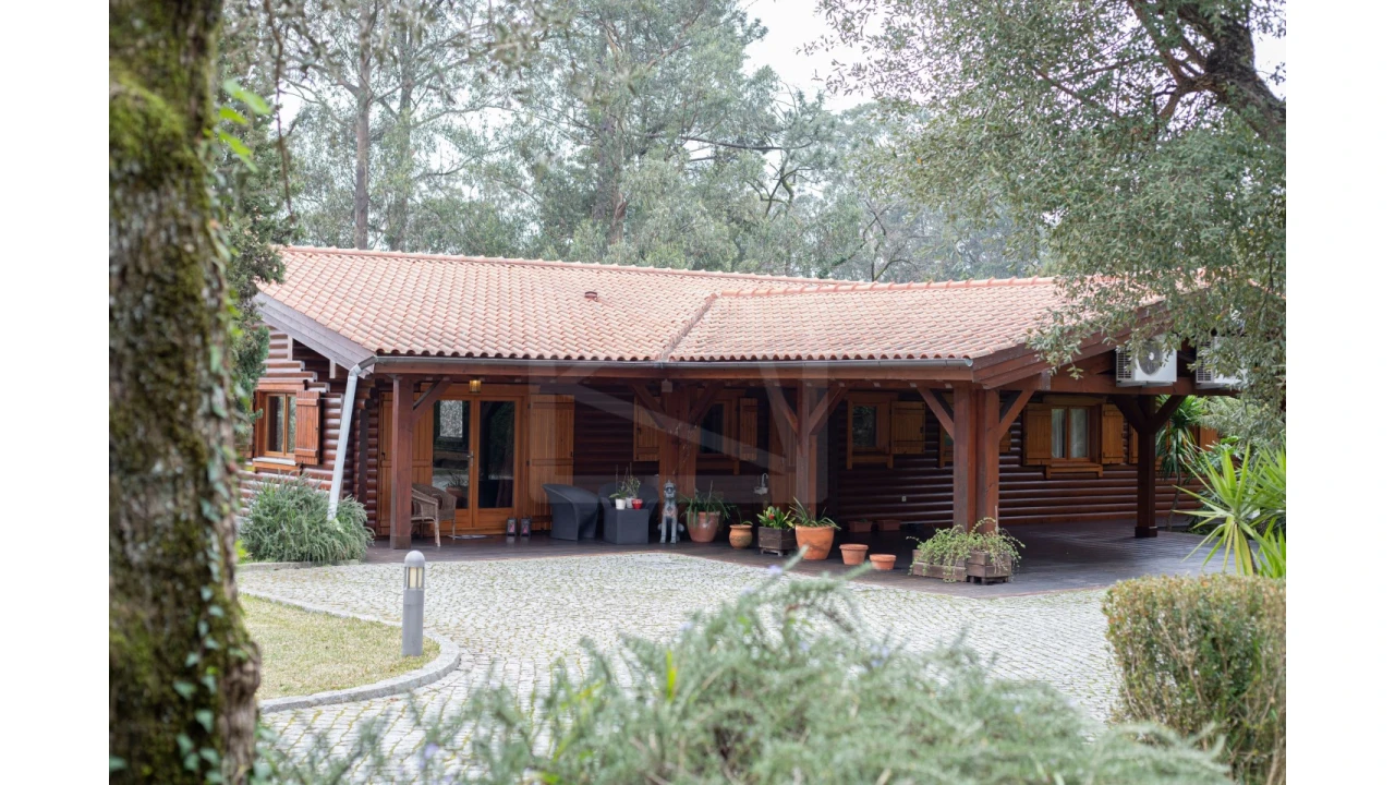 Quinta T12 para Venda em O. Azeméis, Riba-Ul, Ul, Macinhata Seixa, Madail Foto 4