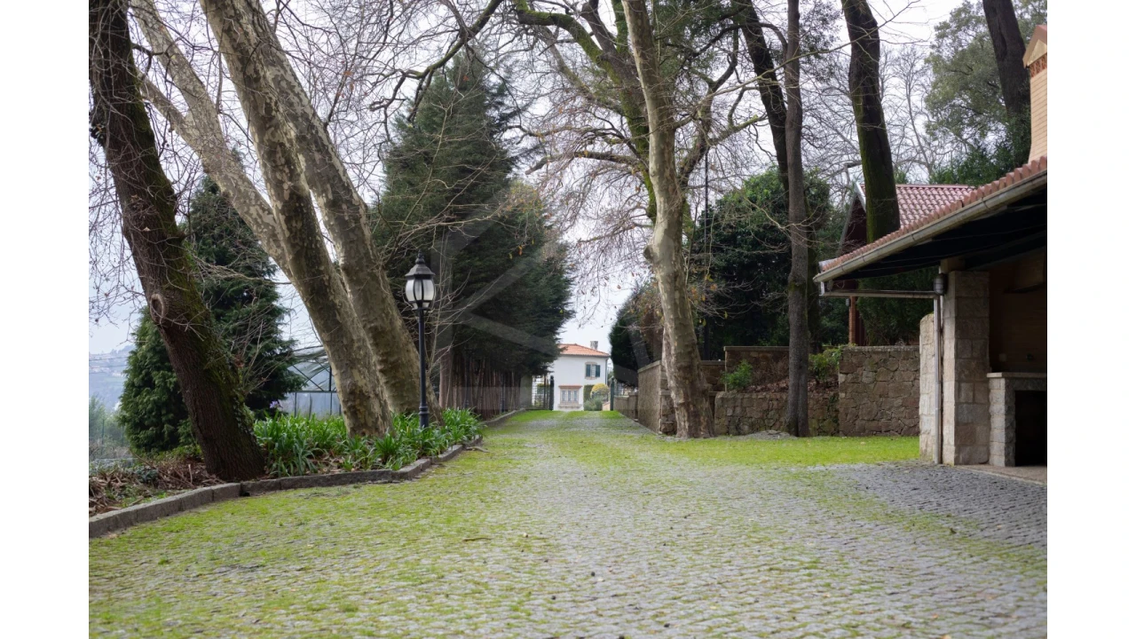 Quinta T12 para Venda em O. Azeméis, Riba-Ul, Ul, Macinhata Seixa, Madail Foto 40