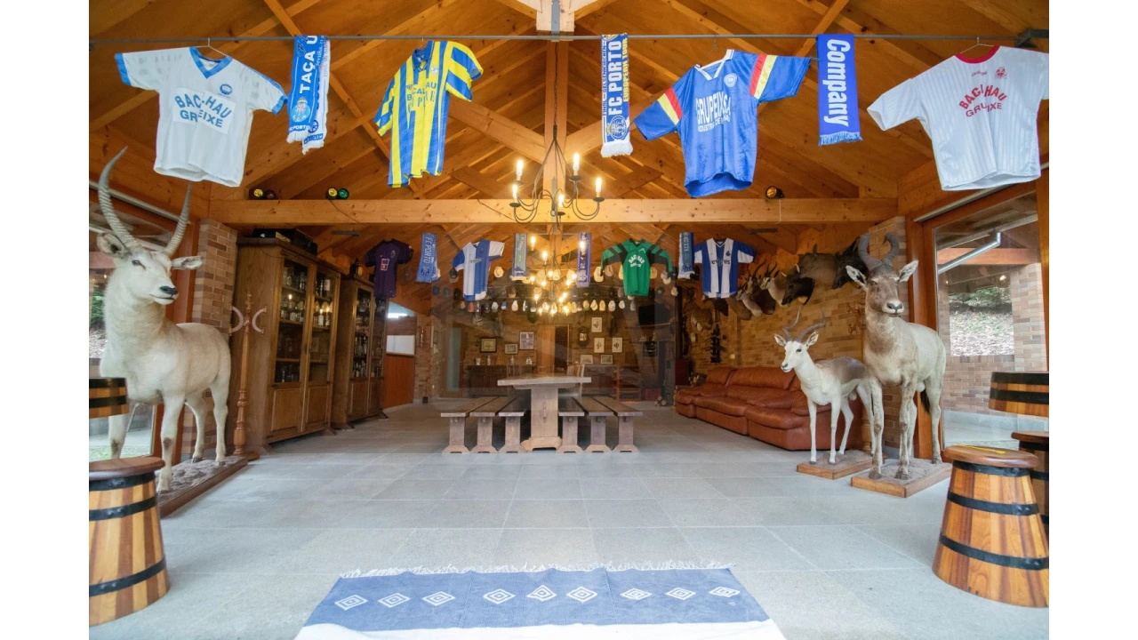 Quinta T12 para Venda em O. Azeméis, Riba-Ul, Ul, Macinhata Seixa, Madail Foto 43