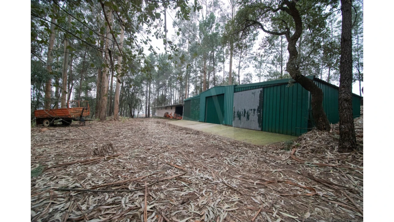 Quinta T12 para Venda em O. Azeméis, Riba-Ul, Ul, Macinhata Seixa, Madail Foto 78