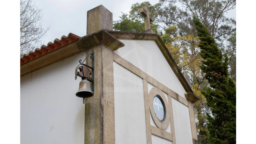 Quinta T12 para Venda em O. Azeméis, Riba-Ul, Ul, Macinhata Seixa, Madail Foto 31