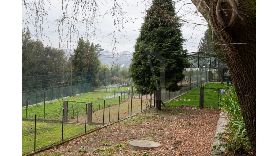 Quinta T12 para Venda em O. Azeméis, Riba-Ul, Ul, Macinhata Seixa, Madail Foto 42