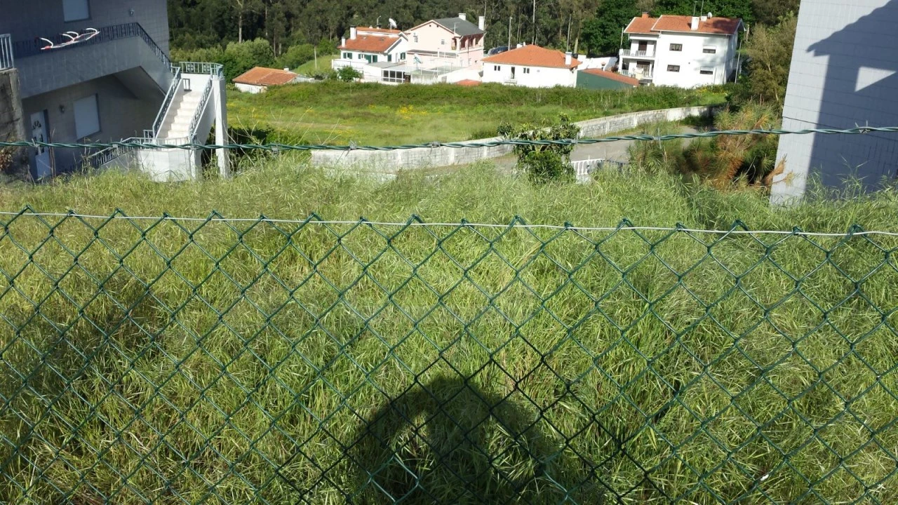 Terreno para Venda em Vila de Cucujães Foto 3