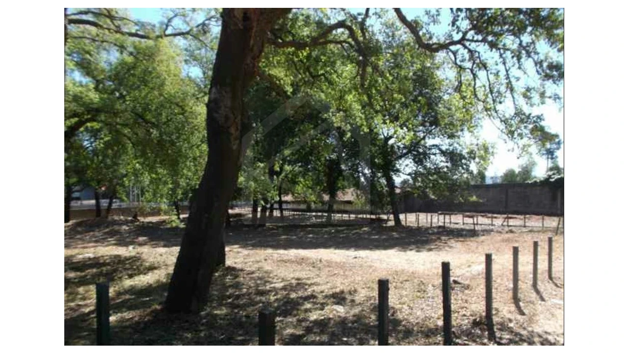 Quinta T4 para Venda em Fiães Foto 13