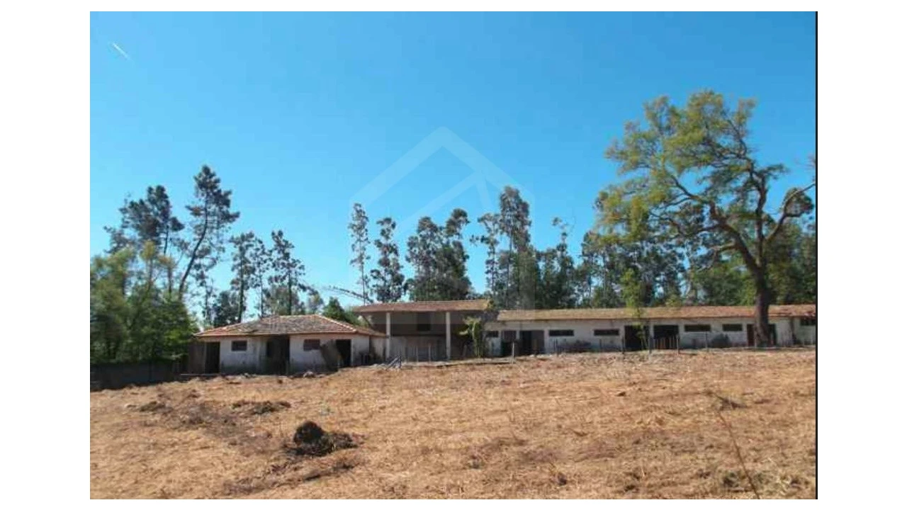 Quinta T4 para Venda em Fiães Foto 14