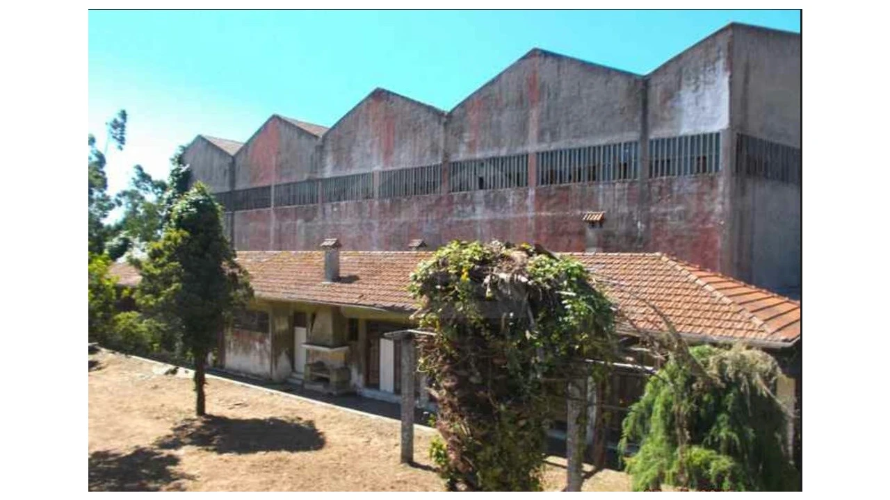 Quinta T4 para Venda em Fiães Foto 18