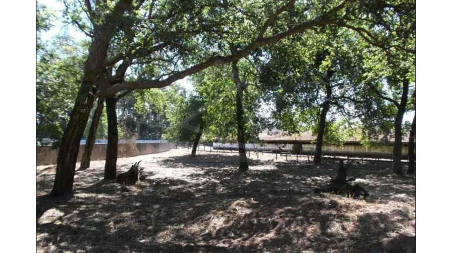 Quinta T4 para Venda em Fiães Foto 15