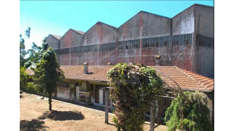 Quinta T4 para Venda em Fiães Foto 18