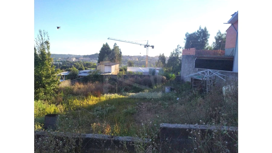 Terreno para Venda em Macieira de Sarnes Foto 1